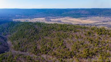 29000 State Highway 43, Clayton, OK 74536 - photo 5