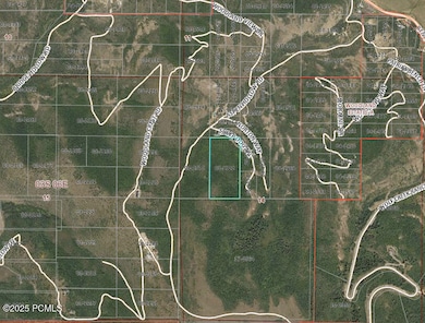 5012 S Sheep Dog Trail unit 22, Woodland, UT 84036 - photo 4