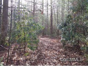 9999 Little Lake Rd, Etowah, NC 28729 - photo 5