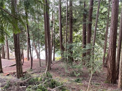 18542 Woodside Dr SE, Yelm, WA 98597 - photo 3