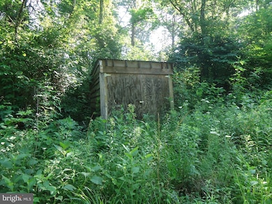 0 Fullerton Ln, South River, VA 22610 - photo 3