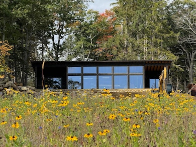 B1 Meadow