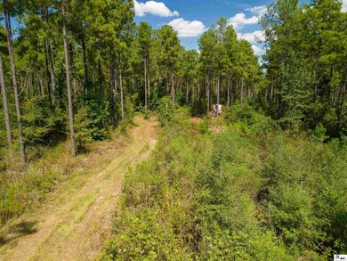 0 Bradford Rd, Choudrant, LA 71227 - photo 5