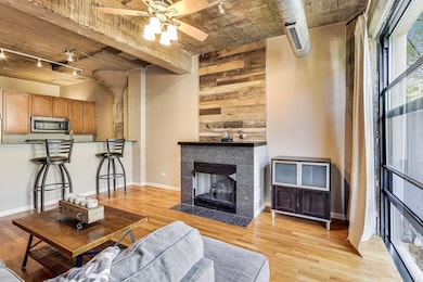 University Commons II unit 306, Chicago, IL 60608 - photo 4