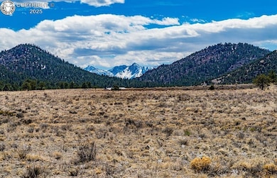 Lot 36 Marcey Rd, Westcliffe, CO 81252 - photo 3