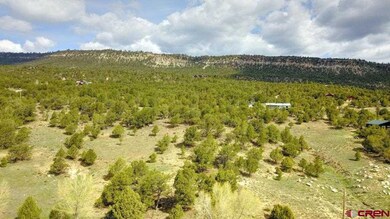 Lot 1 Last Stand Rd, Ridgway, CO 81432 - photo 6
