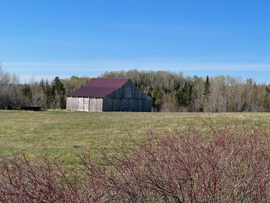 IMG_5893