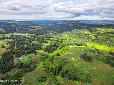 L4 Nka Crossman Ridge Ave, Homer, AK 99603 - photo 7