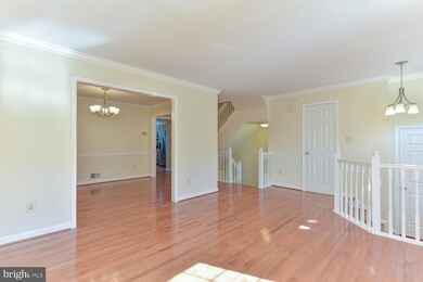 6831 Mclean Province Cir, Falls Church, VA 22043 - photo 7