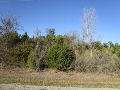 4109 Whitecrest Dr, Whitney, TX 76692 - photo 2