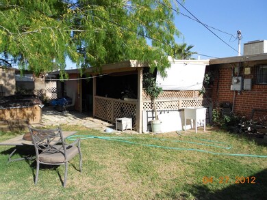 Back yard