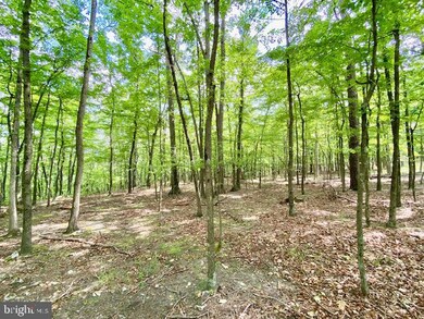 0 Lost River Ridge Cir unit WVHD2001560, Wardensville, WV 26851 - photo 5