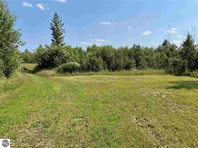 0 Esmond Rd unit 1890923, Hale, MI 48739 - photo 5