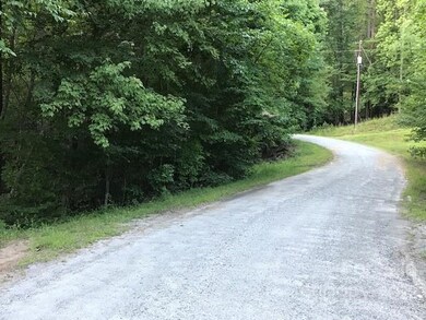 0000 Mallard Rd, Lake Lure, NC 28746 - photo 7