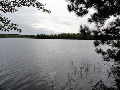 Lot 4 Forrester Rd, Tomahawk, WI 54487 - photo 3