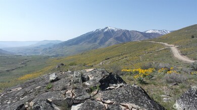 31 Cowboy Rd, Methow, WA 98834 - photo 4
