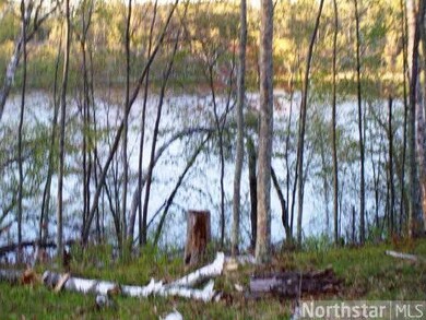 4530 4530 Deerpath Trailway, Jackson, WI 54830 - photo 3