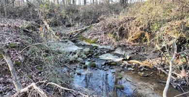 Stream on the back of the property
