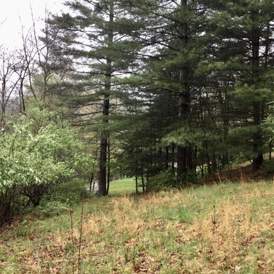 12949 Cass Rd, Cass, WV 24927 - photo 7