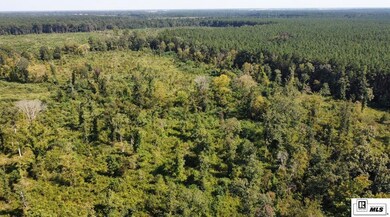 0 Milton White Rd unit 203323, Bastrop, LA 71220 - photo 2