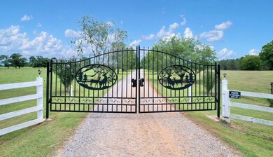 2700 Silo Rd, Edison, GA 39846 - photo 2