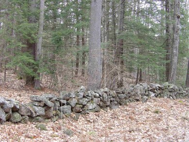 Lot 59 Eastman Hill Rd unit 59, Sanbornton, NH 03269 - photo 4