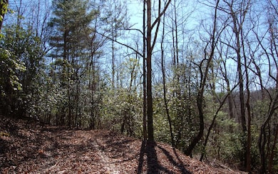 Additional View