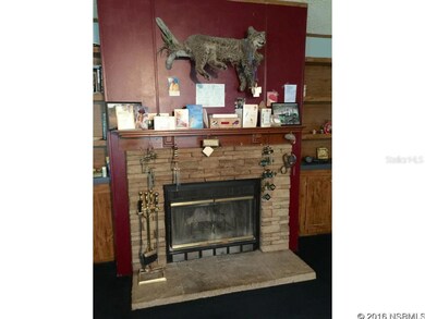 4692 Cedar Rd, New Smyrna Beach, FL 32168 - photo 2