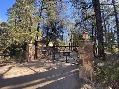 167 E Belluzzi Blvd, Payson, AZ 85541 - photo 4