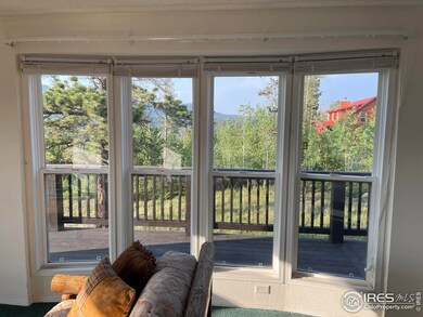 West views from the great room.