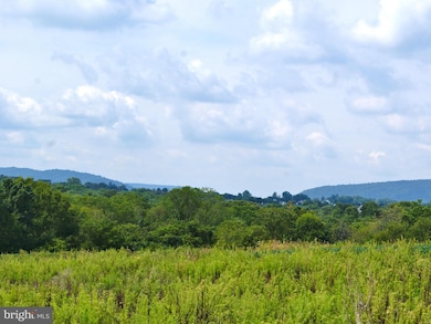 3706 Petersville Rd, Knoxville, MD 21758 - photo 4