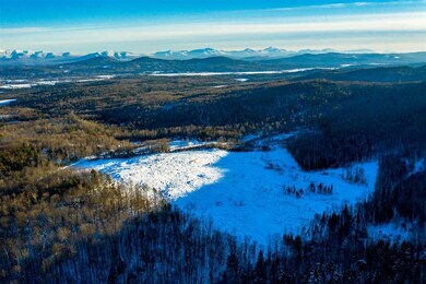 0 Fellows Rd unit 4846053, Guildhall, VT 05905 - photo 3