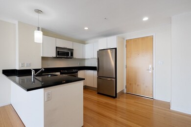Sierra & Tango Condominiums unit T419, Cambridge, MA 02141 - photo 4