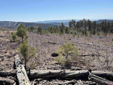 27 Rosalie Dr, Durango, CO 81301 - photo 7