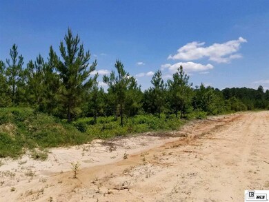 00 New Mineral Springs Rd unit TRACT 7, Calhoun, LA 71225 - photo 2