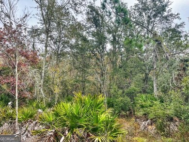 0 US Highway 98 unit 10649270, Perry, FL - photo 3