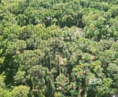 0 Woodhaven Dairy Rd W, Silverhill, AL 36576 - photo 5