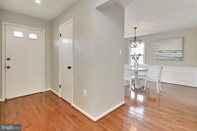 647 N Armistead St, Alexandria, VA 22312 - photo 6