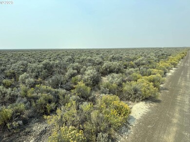 0 Christmas Valley Hwy unit 600, Christmas Valley, OR 97641 - photo 6