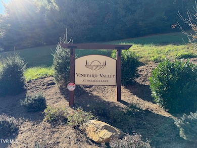 #26 Vineyard Valley Trail, Butler, TN 37640 - photo 3