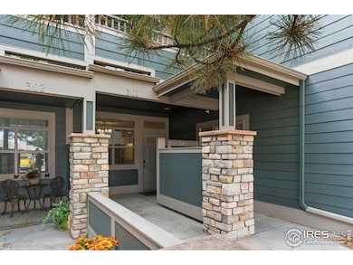 4101 Crittenton Ln unit 301, Wellington, CO 80549 - photo 4
