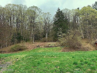 IMG_7260
