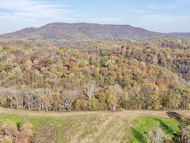 270 Higgins Rd, Woodbury, TN 37190 - photo 2