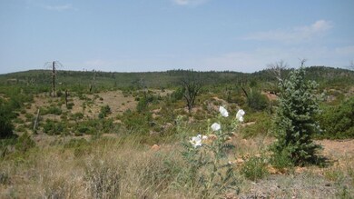 IMG_3361