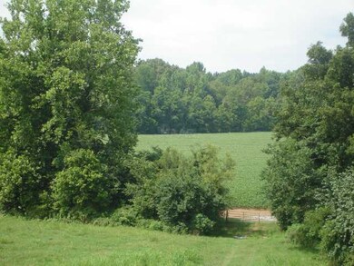 Rolling hill at the back of property before a low cropland area - current owner leases part of his land to a farmer and makes income off the produce each year