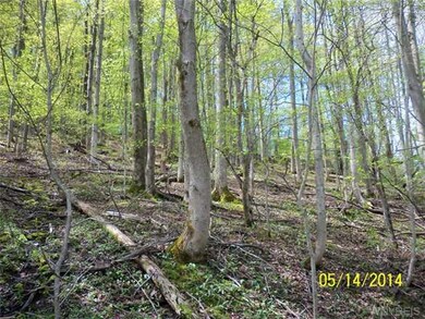 Land/Lot