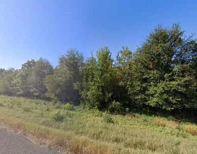 0 Powell Rd unit Trinity TX 75862, Trinity, TX 75862 - photo 6