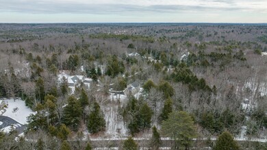 49 chickadee drone-5