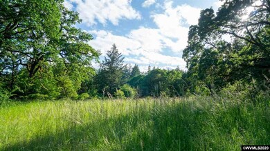 0 Baker Creek (Parcel #473776) Rd unit 766110, McMinnville, OR 97128 - photo 6