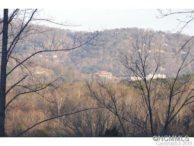 54 Timber Moss Dr, Asheville, NC 28804 - photo 2